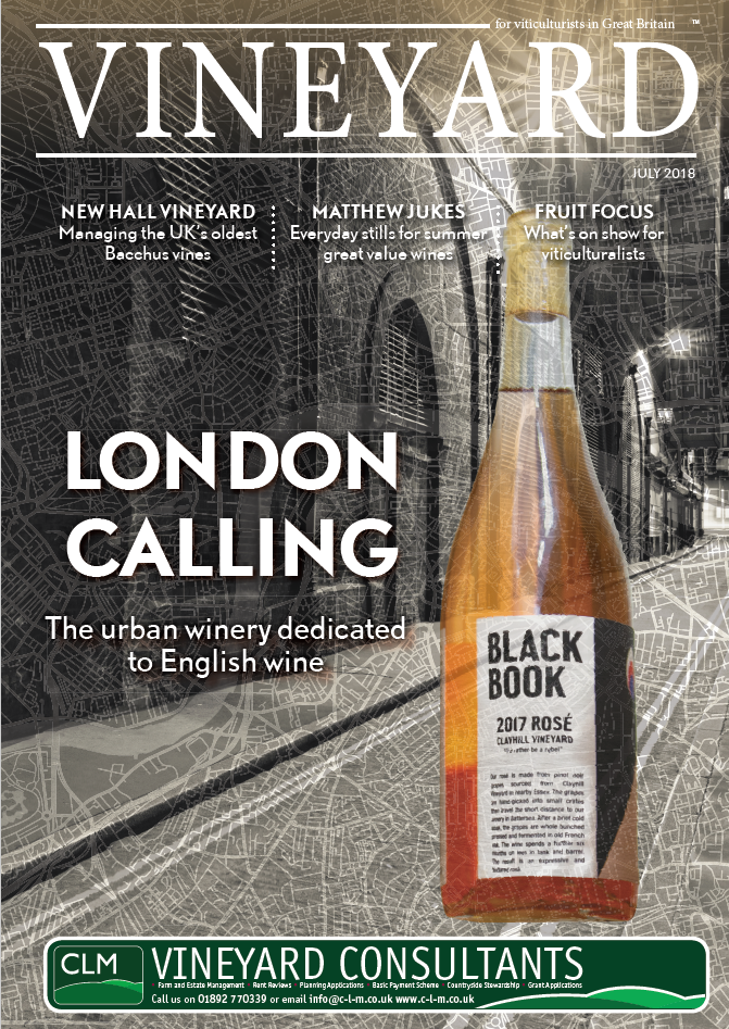July cover, bottle over railway arches