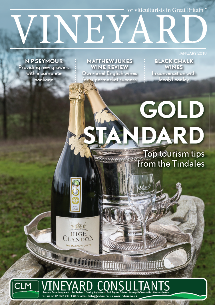 Wine bottle on a bench with a silver tray, countryside as background