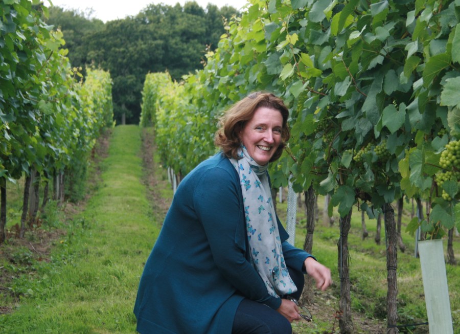Julia Trustham eve in a vineyard