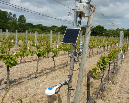 Weather station in vineyard