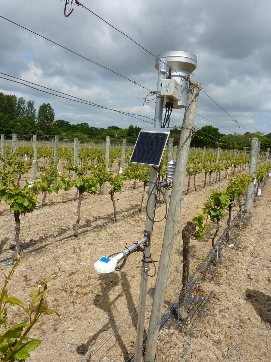 Weather station in vineyard