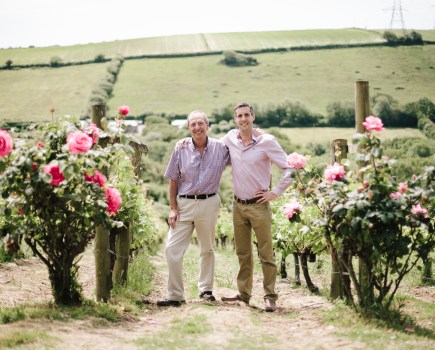 people in front of vineyard