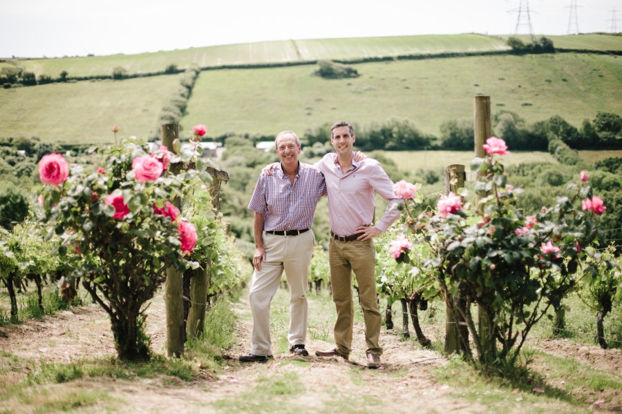 people in front of vineyard