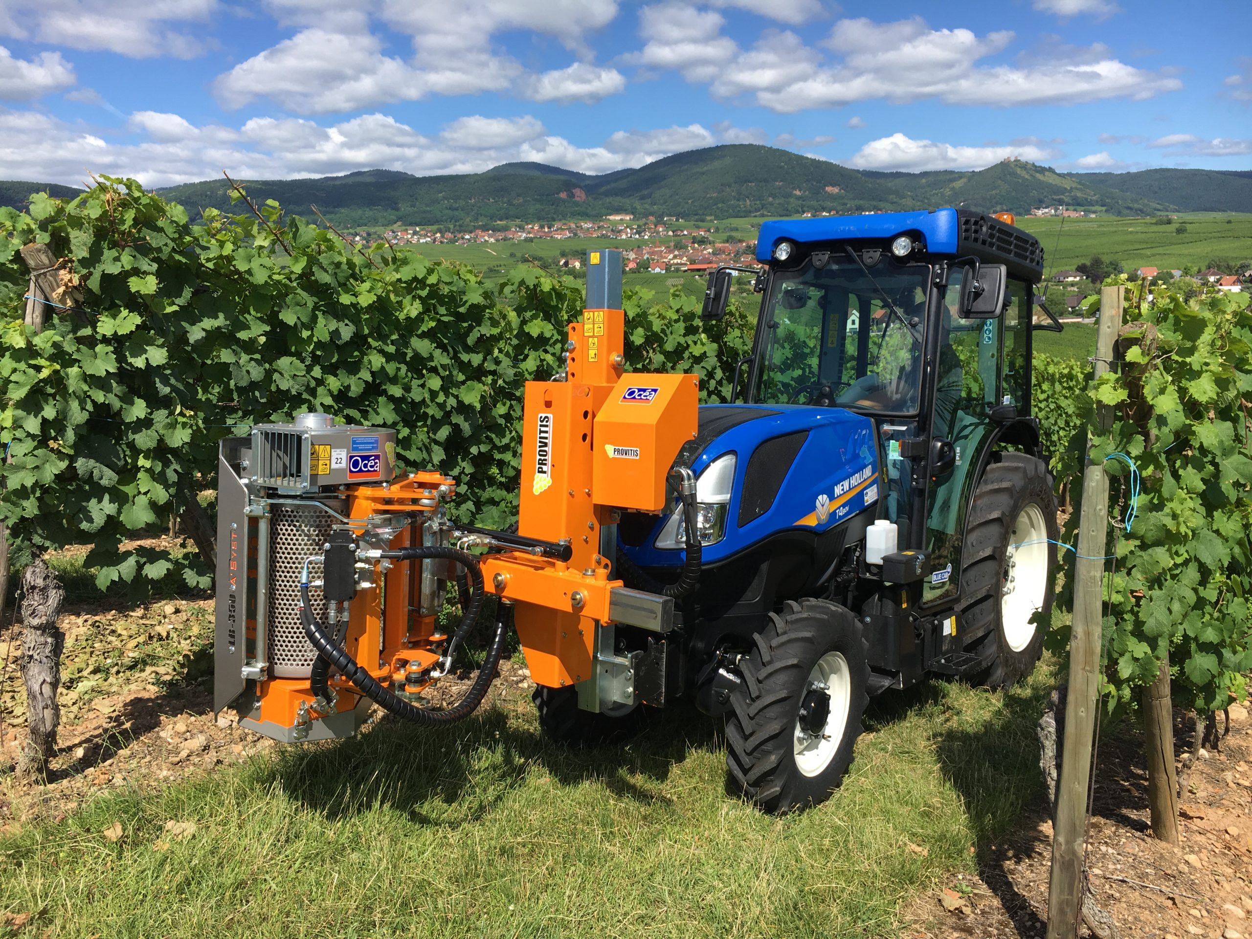 Canopy Management – By Hand Or Machine? - Vineyard Magazine