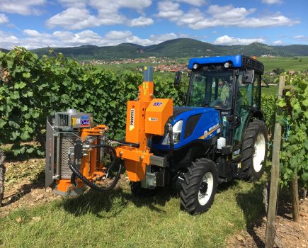 Canopy Management – By Hand Or Machine?