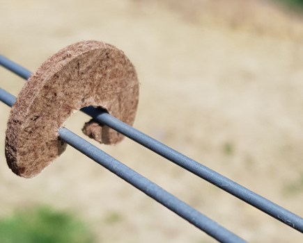 Summer Jobs To Keep Your Vineyard Tidy