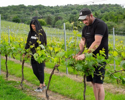 A Passion For Viticulture