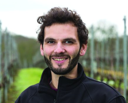 Managing Acidity In Wine Begins In The Vineyard