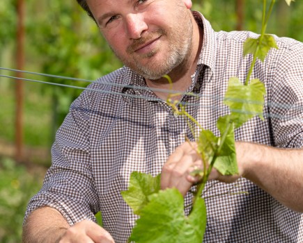 Study Predicts Growth In UK Wine Production Due To Climate Change