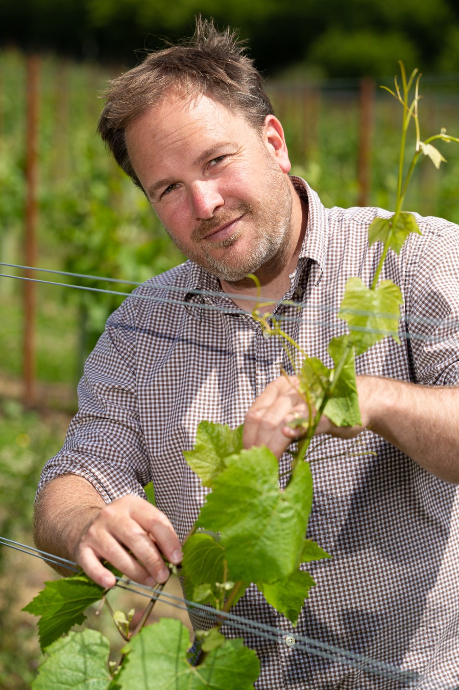 Study Predicts Growth In UK Wine Production Due To Climate Change