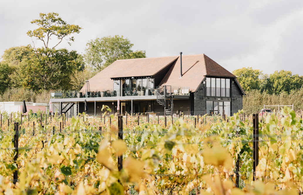 Sip in Sussex during English Wine Week - Vineyard Magazine