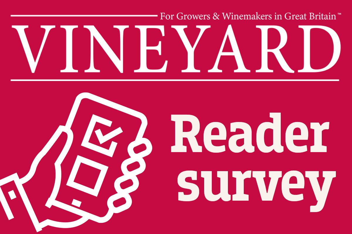Win one of three £50 John Lewis vouchers Vineyard Magazine