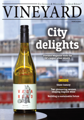 Vineyard March 2026 issue cover